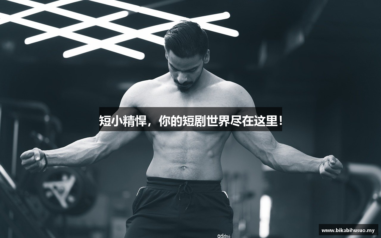 哔咔庇护所平台官网